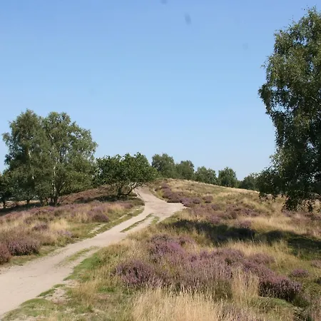 House With Pellet Stove Near Maasduinen * Belfeld